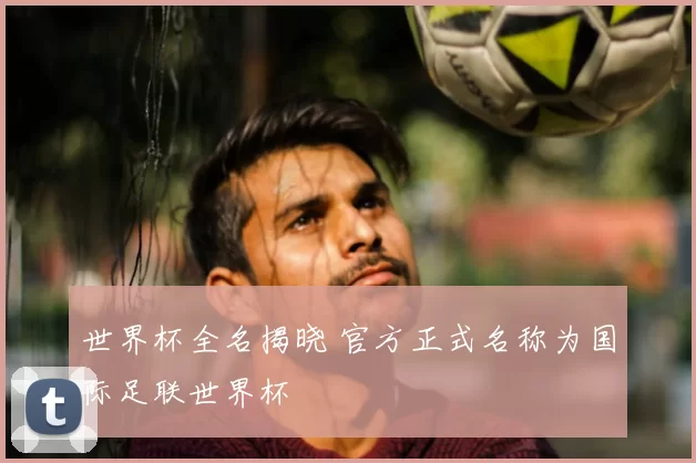 世界杯全名揭晓 官方正式名称为国际足联世界杯