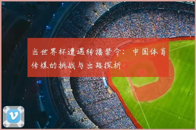 当世界杯遭遇转播禁令:中国体育传媒的挑战与出路探析