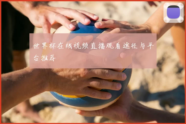 世界杯在线视频直播观看途径与平台推荐