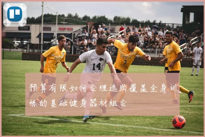 预算有限如何合理选购覆盖全身训练的基础健身器材组合