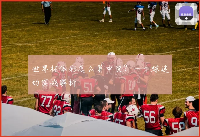 世界杯体彩怎么算中奖？一个球迷的实战解析