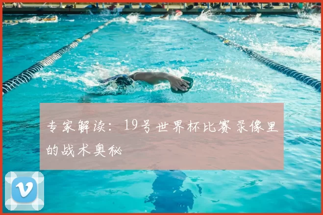 专家解读：19号世界杯比赛录像里的战术奥秘