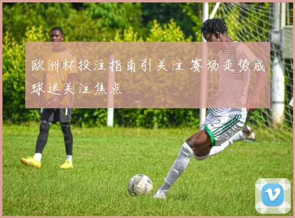 欧洲杯投注指南引关注 赛场走势成球迷关注焦点