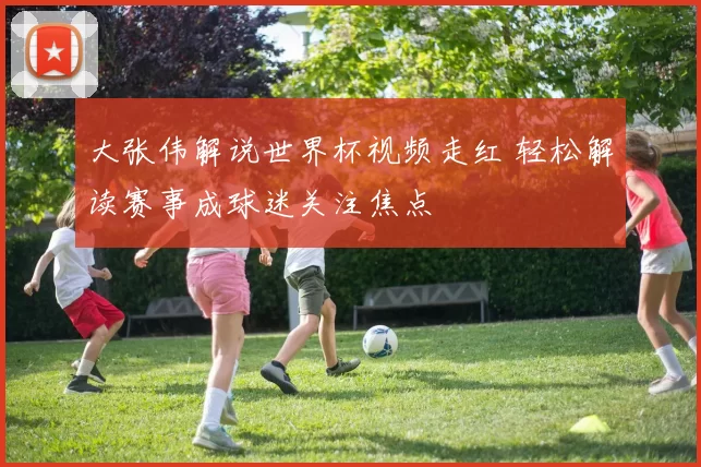 大张伟解说世界杯视频走红 轻松解读赛事成球迷关注焦点