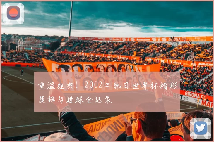 重温经典！2002年韩日世界杯精彩集锦与进球全记录