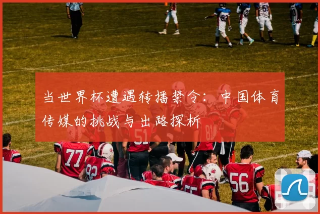 当世界杯遭遇转播禁令：中国体育传媒的挑战与出路探析