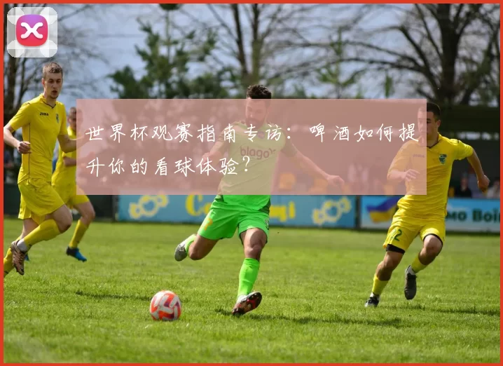 世界杯观赛指南专访：啤酒如何提升你的看球体验？