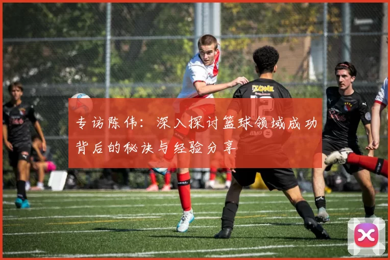 专访陈伟：深入探讨篮球领域成功背后的秘诀与经验分享