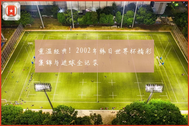 重温经典！2002年韩日世界杯精彩集锦与进球全记录