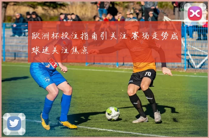 欧洲杯投注指南引关注 赛场走势成球迷关注焦点
