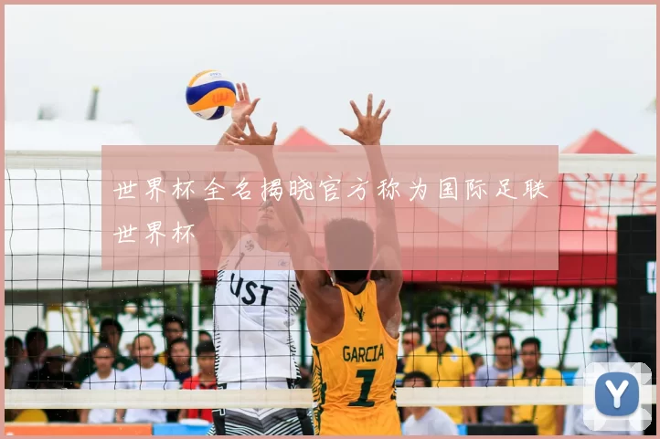 世界杯全名揭晓官方称为国际足联世界杯