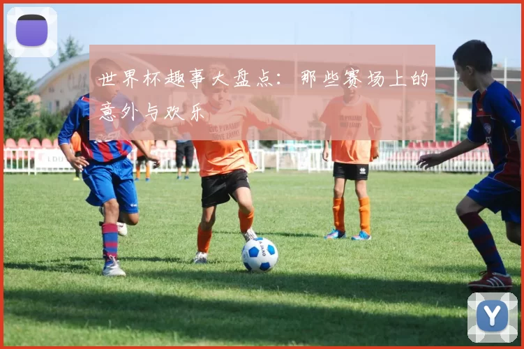 世界杯趣事大盘点：那些赛场上的意外与欢乐