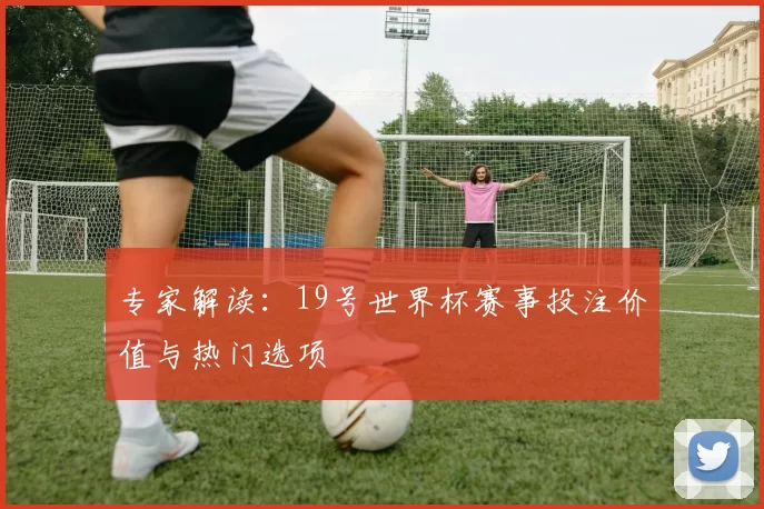 专家解读：19号世界杯赛事投注价值与热门选项