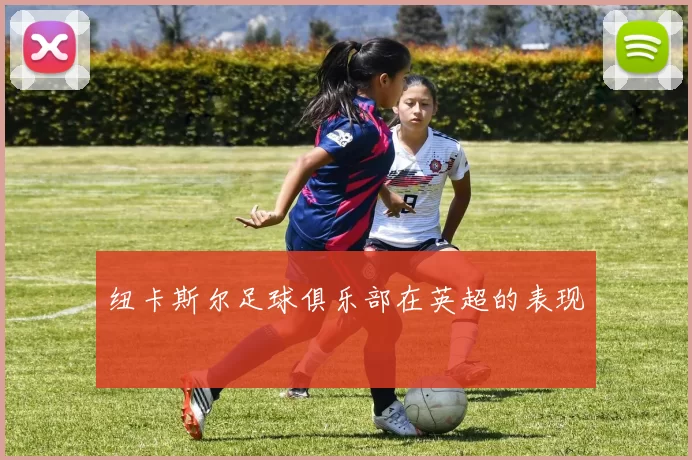纽卡斯尔足球俱乐部在英超的表现